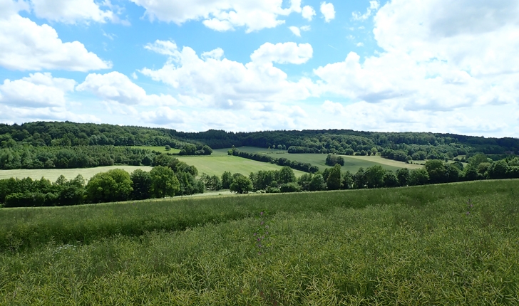 La Cloche, vallée du Perche (crédits Eva Chéramy)