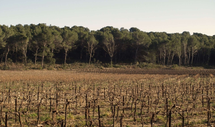 Ecobalade Lambesc (Crédits : Sabine Meneut)