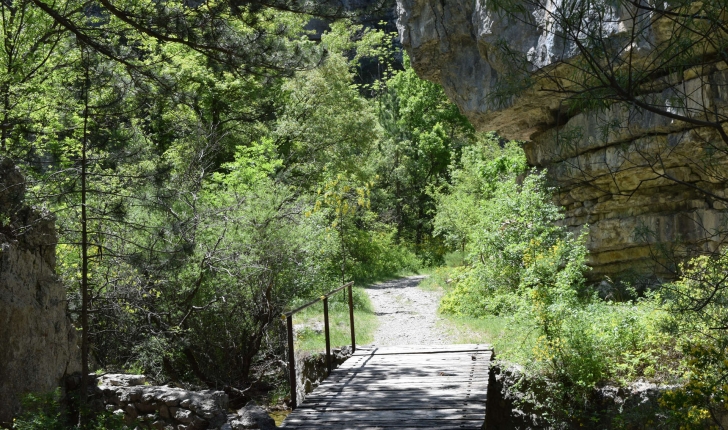 Balade de St-Génis dans les Gorges du Riou - Pays du Buëch- entre Sisteron et Serre-ponçon  (Crédits : Sabine Meneut)