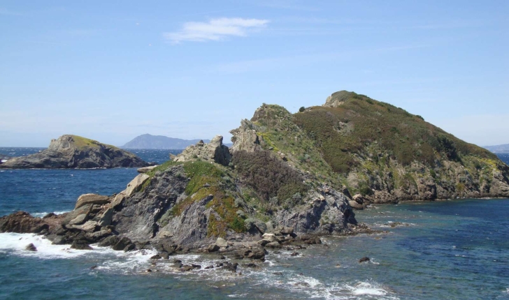 Ile de la Ratonnière et Ile Longue - Giens