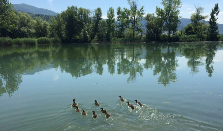 Balade de Volonne - le tour du lac (Crédits : Olivier Rovellotti)