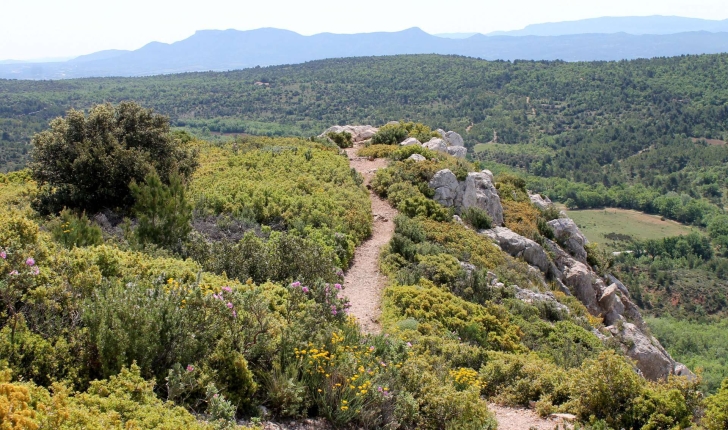 Sentier de l'oppidum - Balade Montagne Sainte-Victoire (Crédits : Léa Charbonnier)