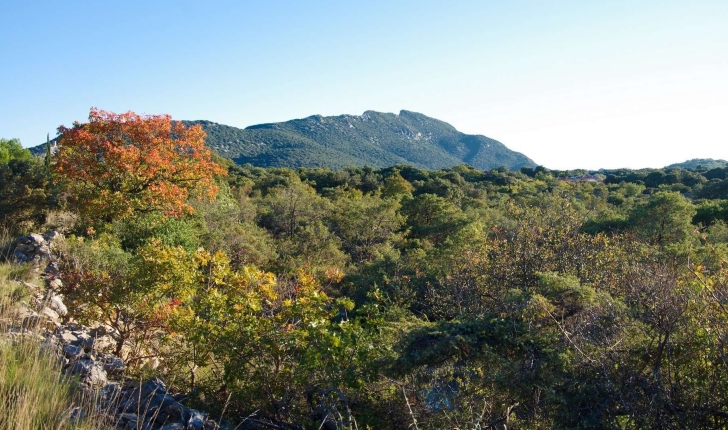 Le Pic Saint-Loup depuis le village de Cazevieille © Mathilde Poussin