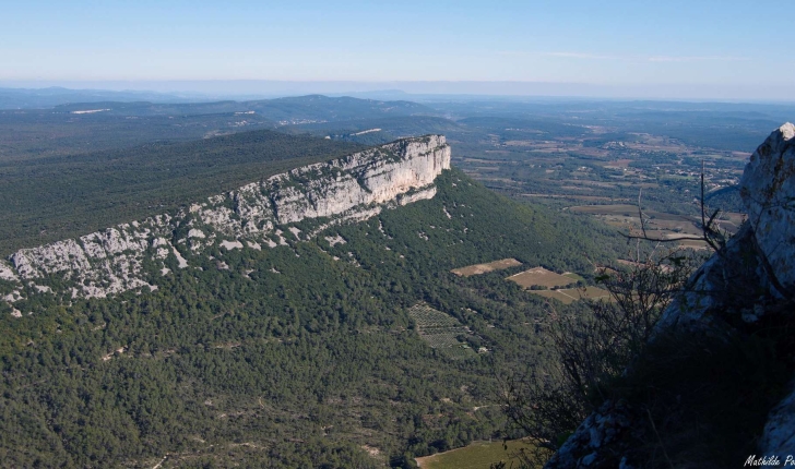 Panorama sur la montagne de l'Hortus, depuis le sommet du Pic Saint-Loup © Mathilde Poussin