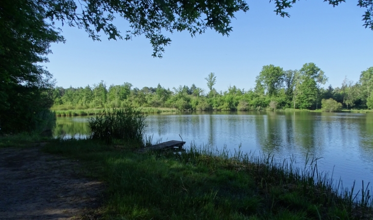 Balade de La Chesnaie