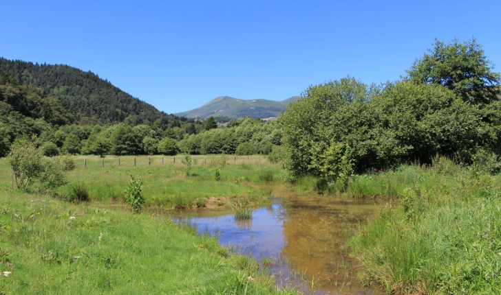 Frayère à poisson et les Monts Dore (Crédits: Thibault Rudel - Natural Solutions)