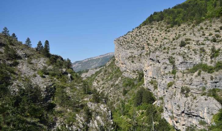 Balade de St-Génis dans les Gorges du Riou - Pays du Buëch- entre Sisteron et Serre-ponçon  (Crédits : Sabine Meneut)