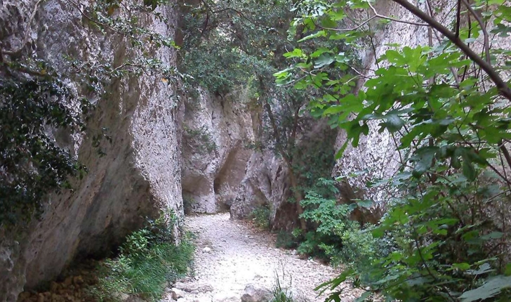 Parcours très encaissé mais riche en végétation (Crédits photos: Elian Gossiome) 