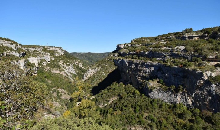 Minerve (Crédits: Sabine Meneut)