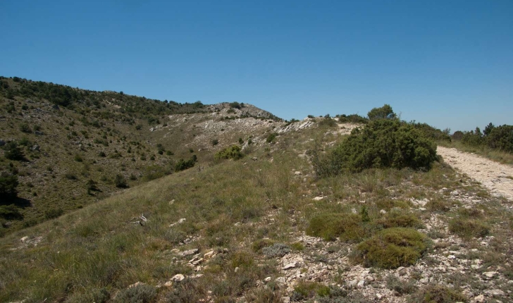Sentier de la balade du Pic des Mouches sur la Montagne de la Sainte Victoire