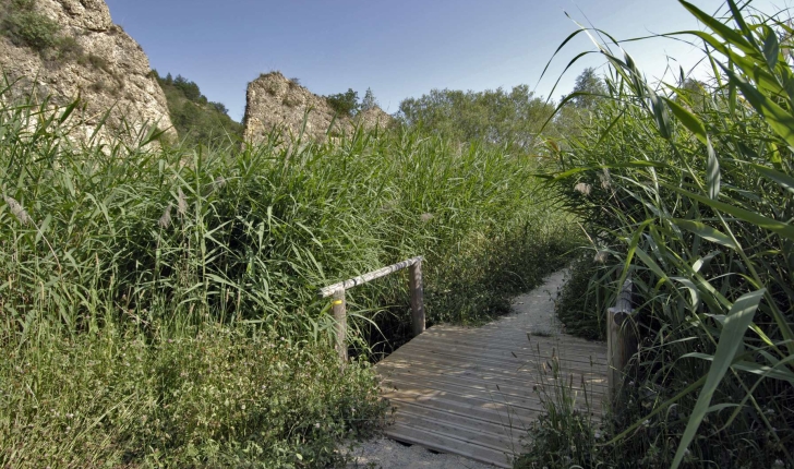 tour du lac chateau arnoux l'escale volonne nature balade randonnée pedestre vtt provence durance