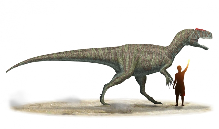 Allosaurus