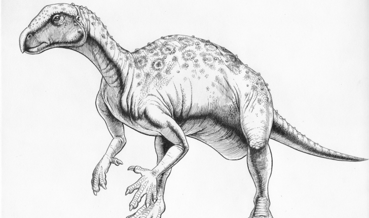 Hypsilophodon