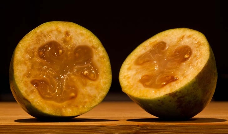 Feijoa sellowiana (O.Berg) O.Berg, 1859 