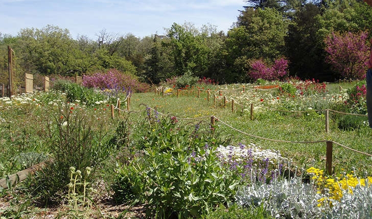 Jardin papillons (Crédits: Parc d'Aoubré)
