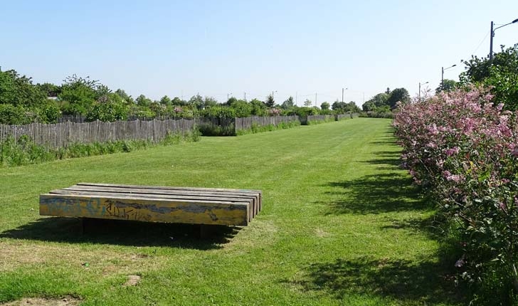 Collection de lilas - Crédit Département du Val de Marne