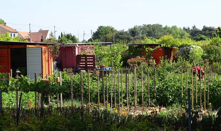 Jardins familiaux - Crédit Département du Val de Marne