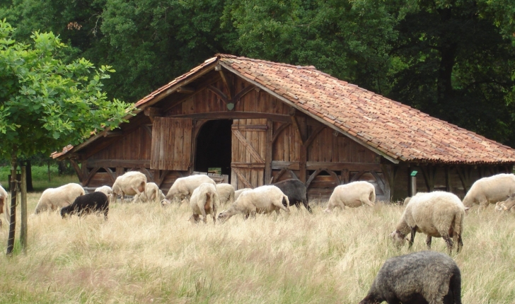 Marquèze Bergerie - crédit Frédérique DEYRIS Parc Naturel Régional des Landes de Gascogne