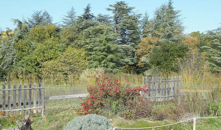 Papillon plan d'eau (Crédits: Parc d'Aoubré)