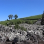 Balade de la Roche de Landeyrat (Crédit : Laura Azzolina)