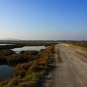 Ecobalade des étangs de Villeneuve-lès-Maguelone (Crédits : Cyril Gautreau)