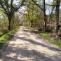 Ecobalade, sentier forêt de Villeny 