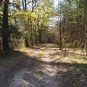 Ecobalade, sentier forêt de Villeny 