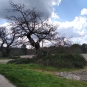 Ecobalade, sentier forêt de Villeny 