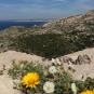 Calanque Marseille Callelongue