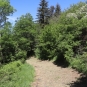 Balade de la Roche de Landeyrat (Crédit : Laura Azzolina)