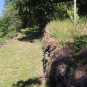 Palhàs de Molompize (Crédit : Laura Azzolina)