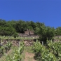 Palhàs de Molompize (Crédit : Laura Azzolina)