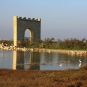 Ecobalade des étangs de Villeneuve-lès-Maguelone (Crédits : Cyril Gautreau)