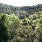 Forêt de Belle Pierre, Toulon