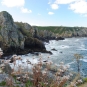 Réserve du Cap Sizun - (Crédits : Damien Vedrenne)