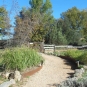 Sentier des plantes aromatiques (Crédits : Parc d'Aoubré)