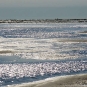 Baie de Somme - La Maye (Crédits: Stéphanie Ritz)