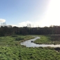 Balade de la Rivière le Goyen - crédit Bretagne Vivante