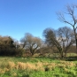 Balade de la Rivière le Goyen - crédit Bretagne Vivante