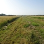 Balade de Méry-sur-Cher - crédit Sologne Nature Environnement