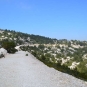 Chemin du belvédère (Lugdivine BORELLO)