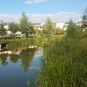 Etang du quartier des Brichères
