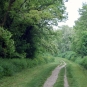 La coulée verte sur le circuit des Brichères.