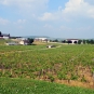 Centre ville d'Auxerre. Ici, les vignes du CHS de l'Yonne.