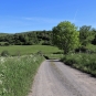 Estives du plateau de Chastel-sur-Murat (Crédit : Laura Azzolina)