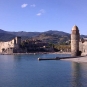 Balade de Collioure (Crédits: Bart CB - Flickr)