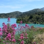 Lac de Bimont et Montagne Sainte-Victoire (Crédits : Léa Charbonnier)
