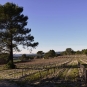 EcoBalade de St Cannat (Crédits : Sabine Meneut)