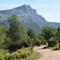 Montagne Sainte-Victoire (Crédits : Léa Charbonnier)