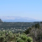 Balade de Simiane Collongue - Paysage de la Sainte Victoire (Crédits : Léa Charbonnier)
